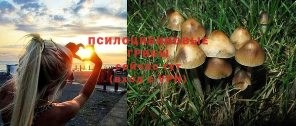 винт Горнозаводск