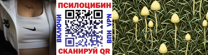 Галлюциногенные грибы мицелий  Лабытнанги 
